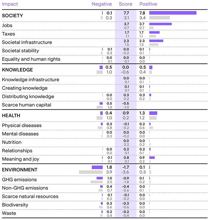 NetImpact_AR2023_eng_700x732.jpg